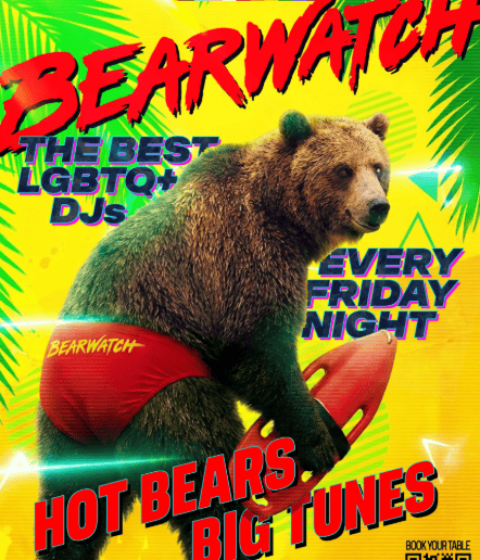 Bear Watch