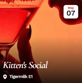 Kitten’s Social